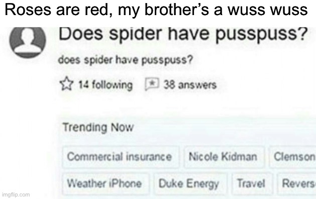 Roses are red, my brother’s a wuss wuss | image tagged in blank white template | made w/ Imgflip meme maker