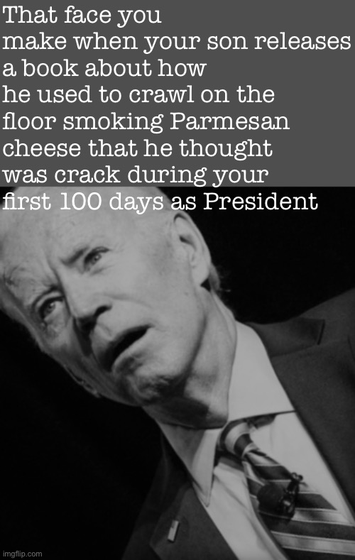 I do not think that was part of the plan. I do not think so, Sam I am | That face you make when your son releases a book about how he used to crawl on the floor smoking Parmesan cheese that he thought was crack during your first 100 days as President | image tagged in unsettled joe biden black white,joe biden,biden,crackhead,crack head,hunter | made w/ Imgflip meme maker