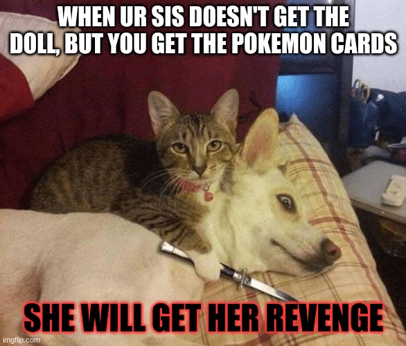 Cat with knife at dog's throat | WHEN UR SIS DOESN'T GET THE DOLL, BUT YOU GET THE POKEMON CARDS; SHE WILL GET HER REVENGE | image tagged in cat with knife at dog's throat | made w/ Imgflip meme maker
