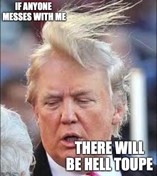 Trump Hair | IF ANYONE  MESSES WITH ME; THERE WILL BE HELL TOUPE | image tagged in trump hair | made w/ Imgflip meme maker