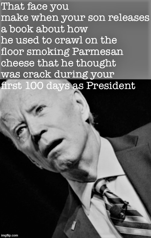 let it not be said we don't do right-wing memes here every so often ;) | image tagged in joe biden,hunter,crackhead | made w/ Imgflip meme maker