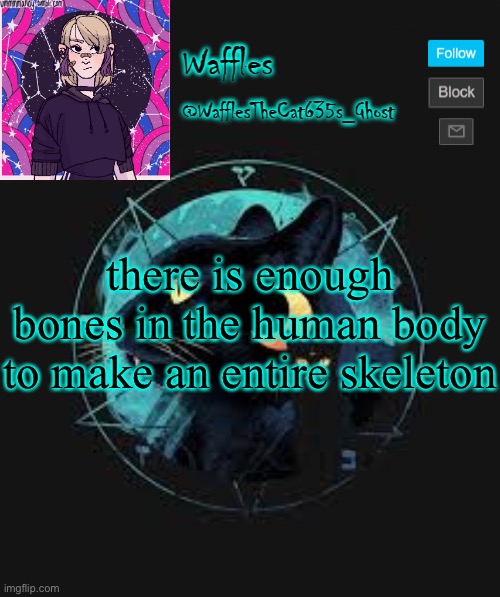 . | there is enough bones in the human body to make an entire skeleton | image tagged in no tags for you | made w/ Imgflip meme maker