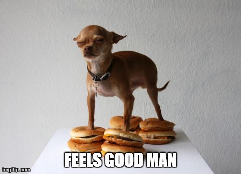 image tagged in feels good man,dogs,animals | made w/ Imgflip meme maker