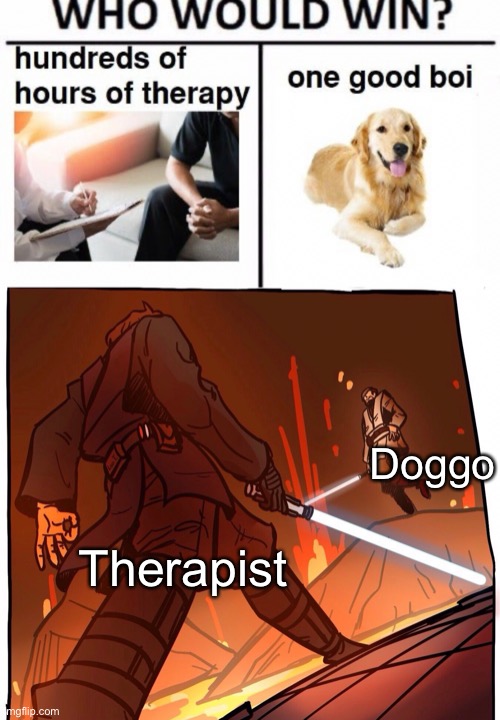 There is a reason why the Doggo is Obi-Wan | Doggo; Therapist | image tagged in star wars jojo s walk short version | made w/ Imgflip meme maker