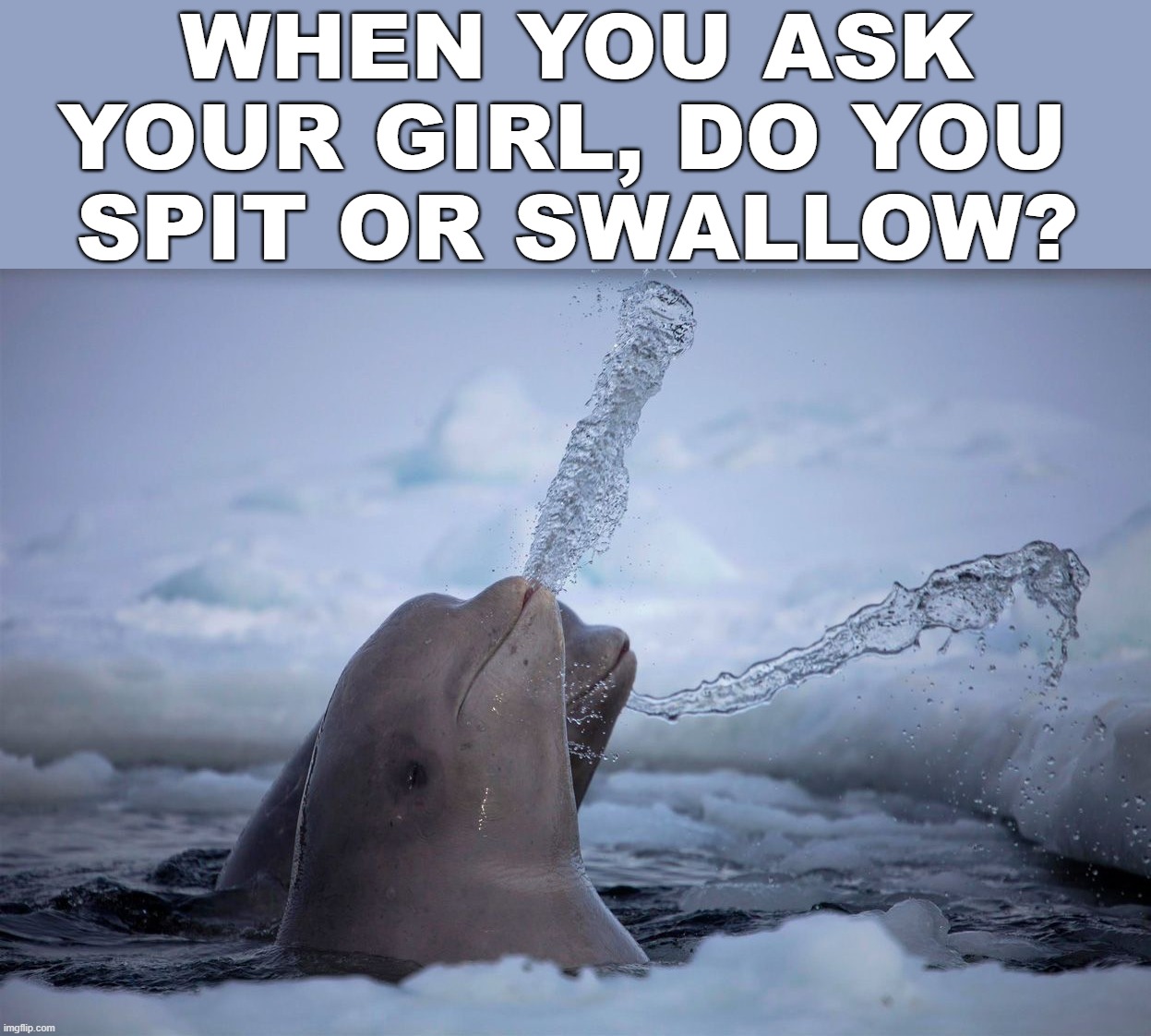WHEN YOU ASK YOUR GIRL, DO YOU 
SPIT OR SWALLOW? | image tagged in swallow,spit | made w/ Imgflip meme maker