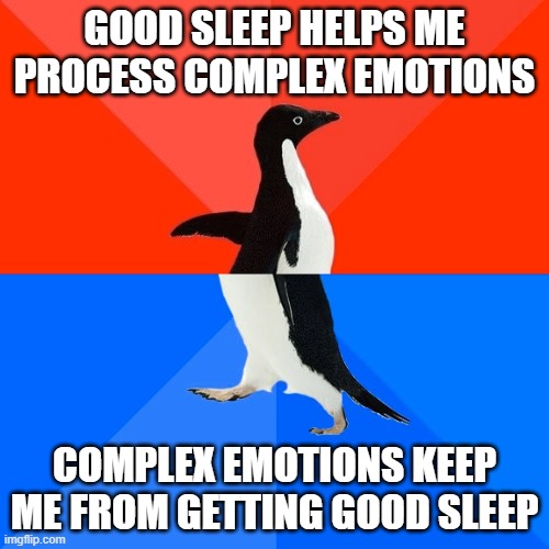good sleep | GOOD SLEEP HELPS ME PROCESS COMPLEX EMOTIONS; COMPLEX EMOTIONS KEEP ME FROM GETTING GOOD SLEEP | image tagged in memes,socially awesome awkward penguin | made w/ Imgflip meme maker