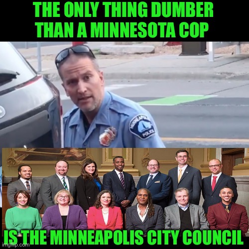 Minnesota is a national embarassment | THE ONLY THING DUMBER THAN A MINNESOTA COP; IS THE MINNEAPOLIS CITY COUNCIL | image tagged in woke,joke,minnesota,angry sjw,cultural marxism | made w/ Imgflip meme maker