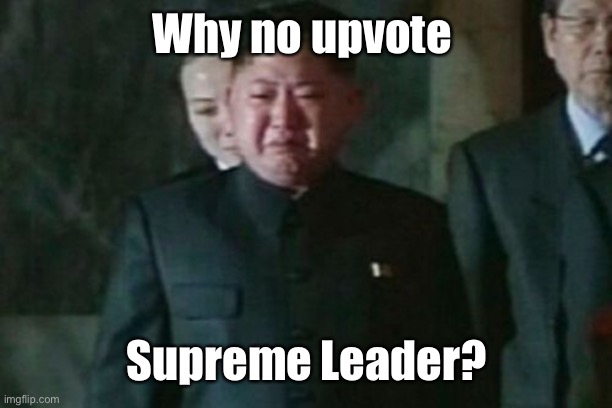Kim Jong Un Sad Meme | Why no upvote Supreme Leader? | image tagged in memes,kim jong un sad | made w/ Imgflip meme maker