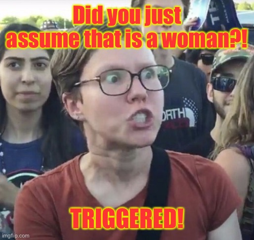 Triggered feminist | Did you just assume that is a woman?! TRIGGERED! | image tagged in triggered feminist | made w/ Imgflip meme maker