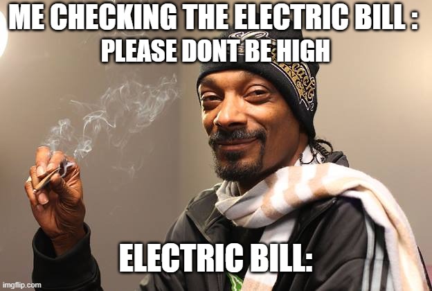 ME CHECKING THE ELECTRIC BILL :; PLEASE DONT BE HIGH; ELECTRIC BILL: | image tagged in funny,snoop dogg,blunt | made w/ Imgflip meme maker