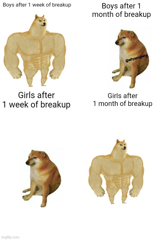 Why God why | Boys after 1 week of breakup; Boys after 1 month of breakup; @whyanujjwhy; Girls after 1 week of breakup; Girls after 1 month of breakup | image tagged in memes,buff doge vs cheems | made w/ Imgflip meme maker
