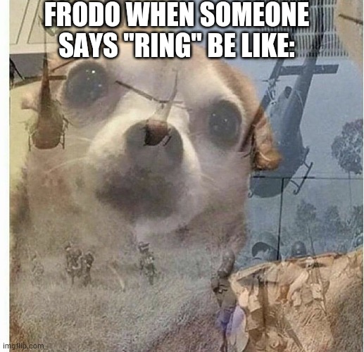 Frodo the phones rin--- oh shit what have i done | FRODO WHEN SOMEONE SAYS "RING" BE LIKE: | image tagged in ptsd chihuahua | made w/ Imgflip meme maker