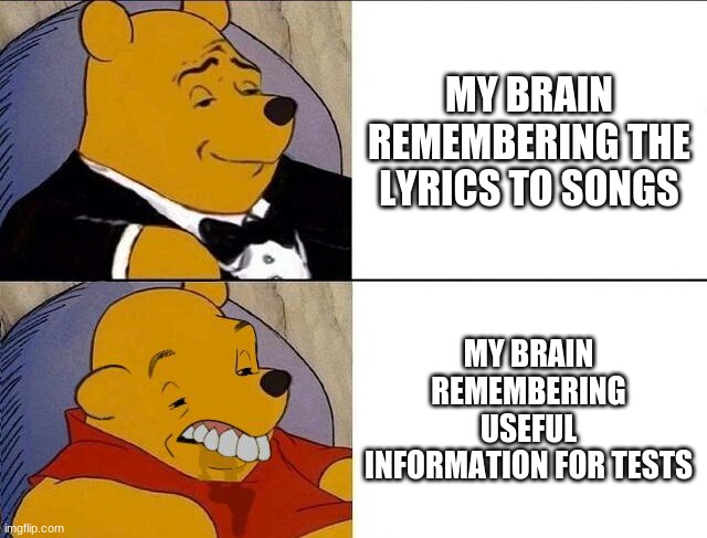 Tuxedo Winnie the Pooh grossed reverse | MY BRAIN REMEMBERING THE LYRICS TO SONGS; MY BRAIN REMEMBERING USEFUL INFORMATION FOR TESTS | image tagged in tuxedo winnie the pooh grossed reverse | made w/ Imgflip meme maker