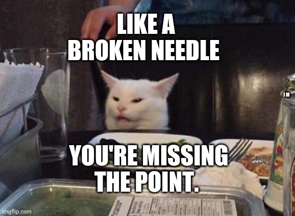 Salad cat | LIKE A BROKEN NEEDLE; J M; YOU'RE MISSING THE POINT. | image tagged in salad cat | made w/ Imgflip meme maker