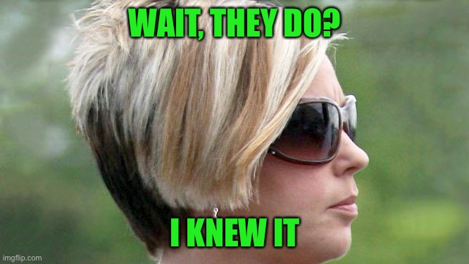 Karen | WAIT, THEY DO? I KNEW IT | image tagged in karen | made w/ Imgflip meme maker