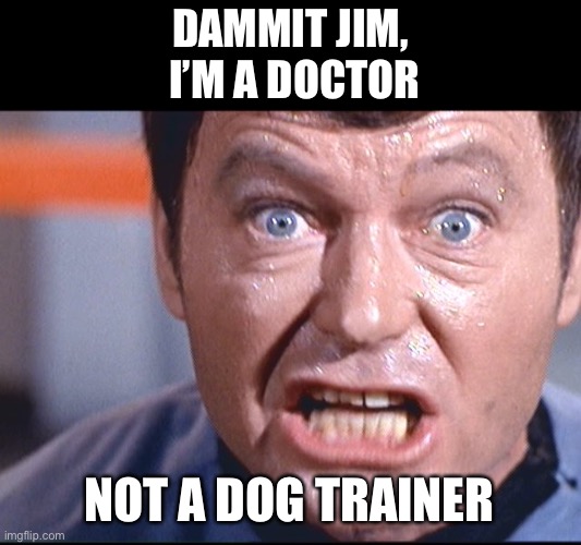 McCoy - Damn It Jim | DAMMIT JIM,
 I’M A DOCTOR NOT A DOG TRAINER | image tagged in mccoy - damn it jim | made w/ Imgflip meme maker