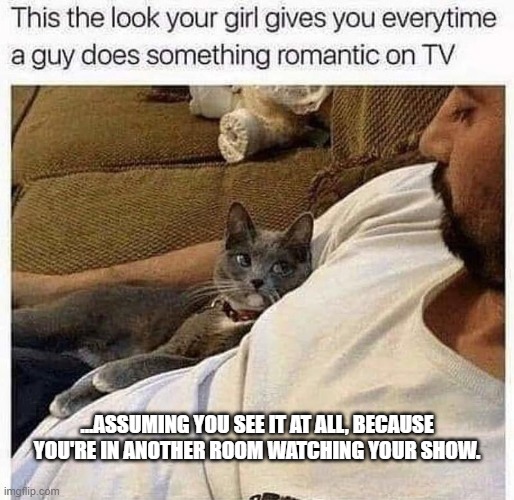 What look? | ...ASSUMING YOU SEE IT AT ALL, BECAUSE YOU'RE IN ANOTHER ROOM WATCHING YOUR SHOW. | image tagged in romantic look cat | made w/ Imgflip meme maker