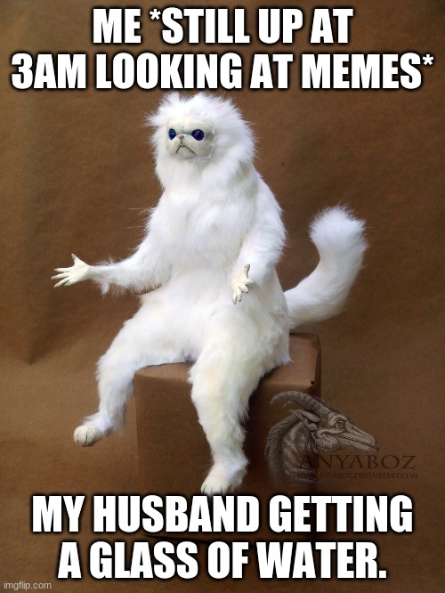 Why are you the way you are? | ME *STILL UP AT 3AM LOOKING AT MEMES*; MY HUSBAND GETTING A GLASS OF WATER. | image tagged in memes,persian cat room guardian single | made w/ Imgflip meme maker