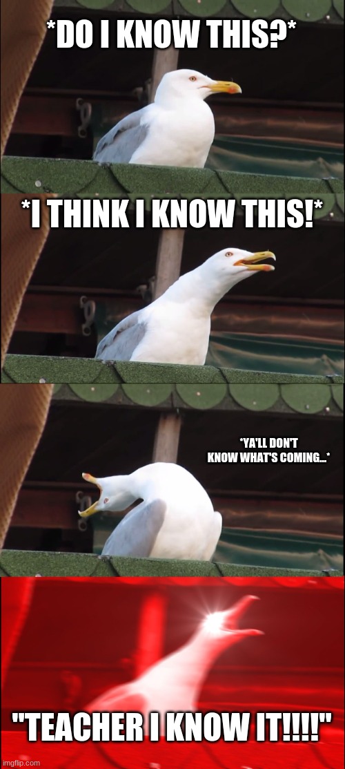 OH OH OH!!!!! | *DO I KNOW THIS?*; *I THINK I KNOW THIS!*; *YA'LL DON'T KNOW WHAT'S COMING...*; "TEACHER I KNOW IT!!!!" | image tagged in memes,inhaling seagull | made w/ Imgflip meme maker
