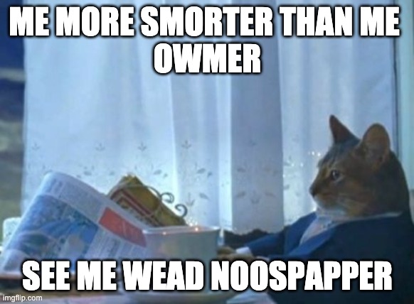 I Should Buy A Boat Cat | ME MORE SMORTER THAN ME 
OWMER; SEE ME WEAD NOOSPAPPER | image tagged in memes,i should buy a boat cat | made w/ Imgflip meme maker