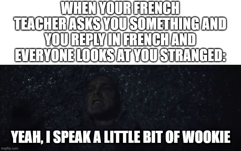 Yeah, I do | WHEN YOUR FRENCH TEACHER ASKS YOU SOMETHING AND YOU REPLY IN FRENCH AND EVERYONE LOOKS AT YOU STRANGED:; YEAH, I SPEAK A LITTLE BIT OF WOOKIE | image tagged in han solo,wookie | made w/ Imgflip meme maker