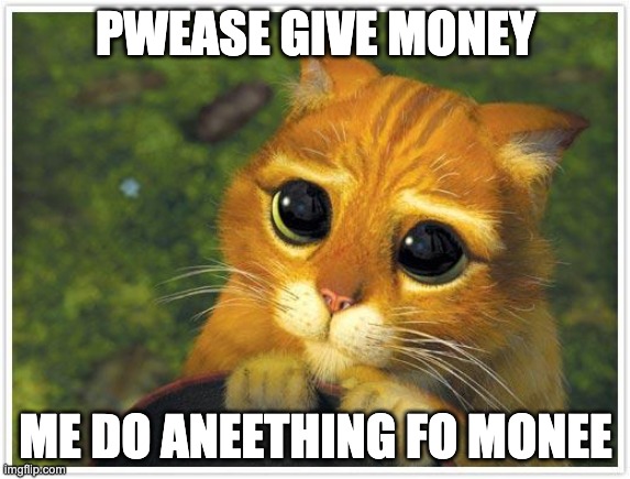 Shrek Cat Meme | PWEASE GIVE MONEY; ME DO ANEETHING FO MONEE | image tagged in memes,shrek cat | made w/ Imgflip meme maker