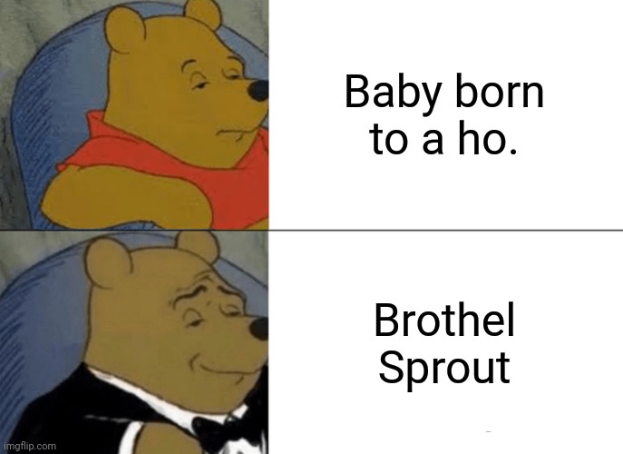 Tuxedo Winnie The Pooh | Baby born to a ho. Brothel Sprout | image tagged in memes,tuxedo winnie the pooh | made w/ Imgflip meme maker