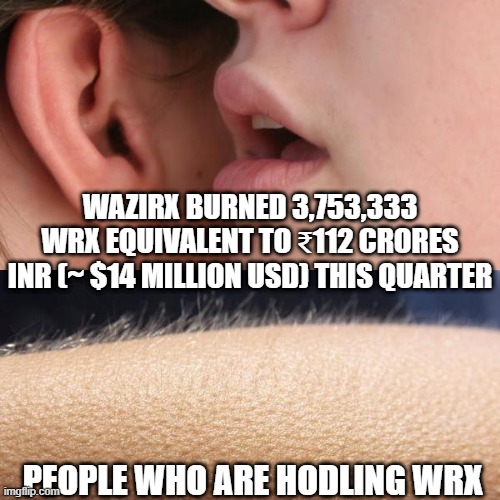 WAZIRX | WAZIRX BURNED 3,753,333 WRX EQUIVALENT TO ₹112 CRORES INR (~ $14 MILLION USD) THIS QUARTER; PEOPLE WHO ARE HODLING WRX | image tagged in whisper and goosebumps | made w/ Imgflip meme maker