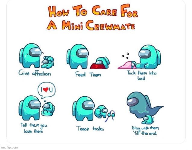 How to take care of your mini crewmate | image tagged in among us,mini crewmate,memes,gaming,crewmate,there is 1 imposter among us | made w/ Imgflip meme maker