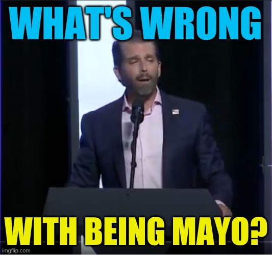 Stoned Don Trump Jr | WHAT'S WRONG; WITH BEING MAYO? | image tagged in stoned don trump jr,is mayonnaise an instrument,mayo,racism,conservatives,white people | made w/ Imgflip meme maker
