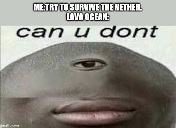 I hate them | ME:TRY TO SURVIVE THE NETHER.
LAVA OCEAN: | image tagged in can you dont | made w/ Imgflip meme maker