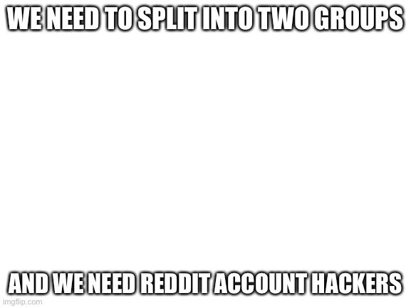 i hope we can to this | WE NEED TO SPLIT INTO TWO GROUPS; AND WE NEED REDDIT ACCOUNT HACKERS | image tagged in blank white template | made w/ Imgflip meme maker