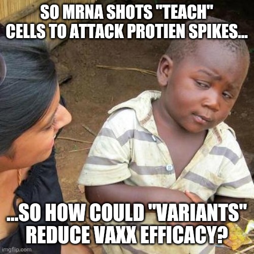 Third World Skeptical Kid Meme | SO MRNA SHOTS "TEACH" CELLS TO ATTACK PROTIEN SPIKES... ...SO HOW COULD "VARIANTS" REDUCE VAXX EFFICACY? | image tagged in memes,third world skeptical kid | made w/ Imgflip meme maker