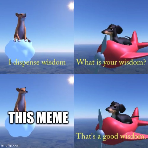 That's a good wisdom | THIS MEME | image tagged in that's a good wisdom | made w/ Imgflip meme maker