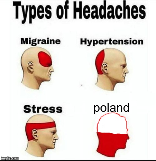 Types of Headaches meme |  poland | image tagged in types of headaches meme,memes,meme,poland | made w/ Imgflip meme maker