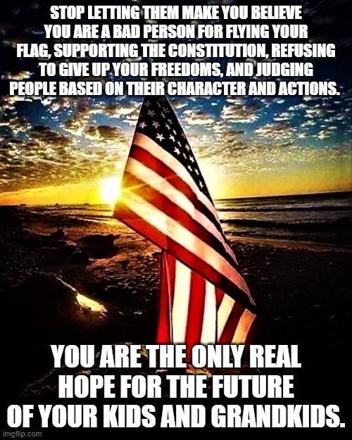 You are the only hope | STOP LETTING THEM MAKE YOU BELIEVE YOU ARE A BAD PERSON FOR FLYING YOUR FLAG, SUPPORTING THE CONSTITUTION, REFUSING TO GIVE UP YOUR FREEDOMS, AND JUDGING PEOPLE BASED ON THEIR CHARACTER AND ACTIONS. YOU ARE THE ONLY REAL HOPE FOR THE FUTURE OF YOUR KIDS AND GRANDKIDS. | image tagged in patriotic,freedom,the constitution,hope,american flag,american | made w/ Imgflip meme maker