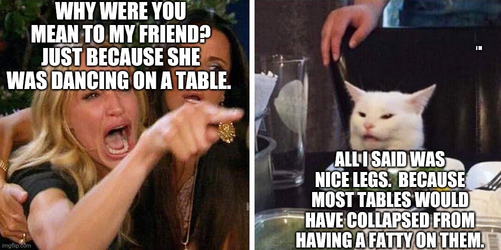 Smudge the cat | WHY WERE YOU MEAN TO MY FRIEND? JUST BECAUSE SHE WAS DANCING ON A TABLE. J M; ALL I SAID WAS NICE LEGS.  BECAUSE MOST TABLES WOULD HAVE COLLAPSED FROM HAVING A FATTY ON THEM. | image tagged in smudge the cat | made w/ Imgflip meme maker