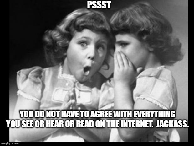Friends sharing | YOU DO NOT HAVE TO AGREE WITH EVERYTHING YOU SEE OR HEAR OR READ ON THE INTERNET.  JACKASS. PSSST | image tagged in friends sharing | made w/ Imgflip meme maker