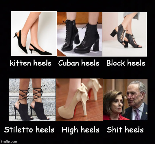 Variety of heels | image tagged in politics | made w/ Imgflip meme maker