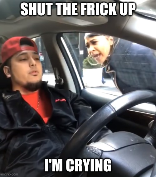 Shut the F*** Up I'm Listening To | SHUT THE FRICK UP; I'M CRYING | image tagged in shut the f up i'm listening to,msmg,memes | made w/ Imgflip meme maker