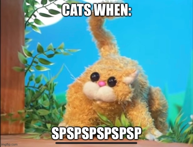 Tabby cat | CATS WHEN:; SPSPSPSPSPSP | image tagged in cat,funny | made w/ Imgflip meme maker