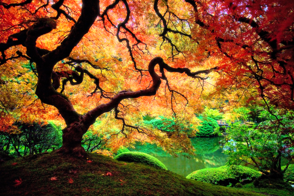 image tagged in nature,photography