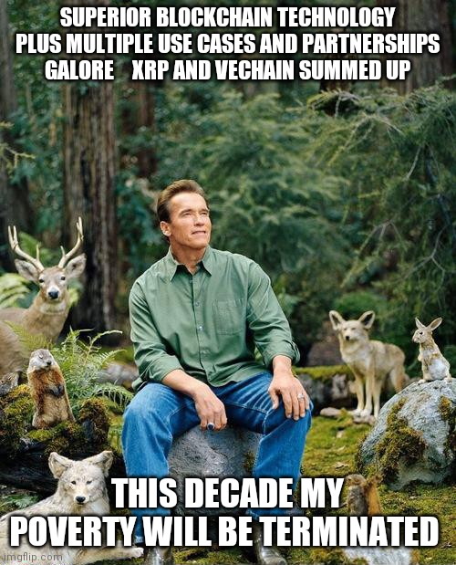 schwarzenegger in the woods with animals | SUPERIOR BLOCKCHAIN TECHNOLOGY PLUS MULTIPLE USE CASES AND PARTNERSHIPS GALORE    XRP AND VECHAIN SUMMED UP; THIS DECADE MY POVERTY WILL BE TERMINATED | image tagged in schwarzenegger in the woods with animals | made w/ Imgflip meme maker