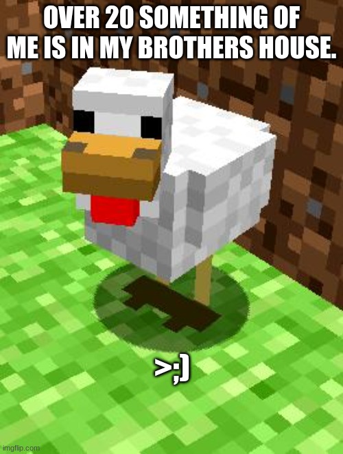 Minecraft Advice Chicken | OVER 20 SOMETHING OF ME IS IN MY BROTHERS HOUSE. >;) | image tagged in minecraft advice chicken | made w/ Imgflip meme maker