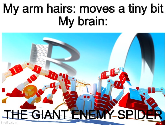 THE GIANT ENEMY SPIDER | My arm hairs: moves a tiny bit
My brain:; THE GIANT ENEMY SPIDER | image tagged in spider,my brain | made w/ Imgflip meme maker