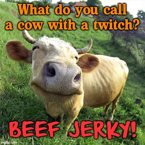 Cow | What do you call a cow with a twitch? BEEF JERKY! | image tagged in cow,eye roll | made w/ Imgflip meme maker