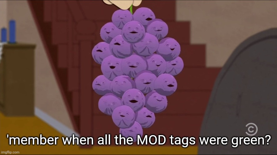 Member Berries Meme | 'member when all the MOD tags were green? | image tagged in memes,member berries | made w/ Imgflip meme maker