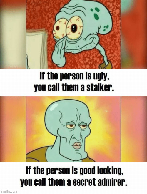 How you look is important | image tagged in ugly and handsome squidward,looks | made w/ Imgflip meme maker