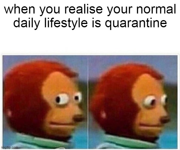 Monkey Puppet | when you realise your normal daily lifestyle is quarantine | image tagged in memes,monkey puppet | made w/ Imgflip meme maker
