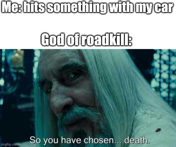 Insert title here |  Me: hits something with my car; God of roadkill: | image tagged in so you have chosen death | made w/ Imgflip meme maker
